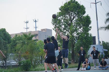 Our Team